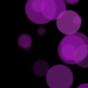 Meet your Posher, Mayda